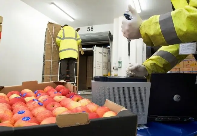 A High-Import Reality Requires High-Control Systems