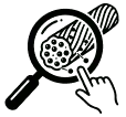 Embedded New